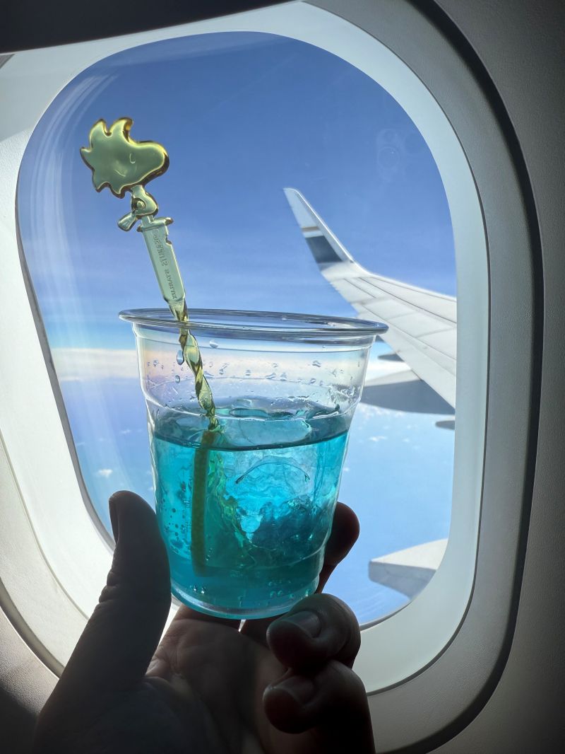 搭乘星宇航空直飛泰國「清邁」:體驗史努比的夢幻主題專機 - 第21張圖 星宇特調