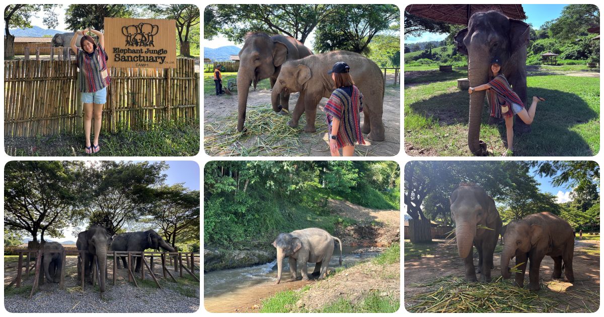 Elephant Jungle Sanctuary