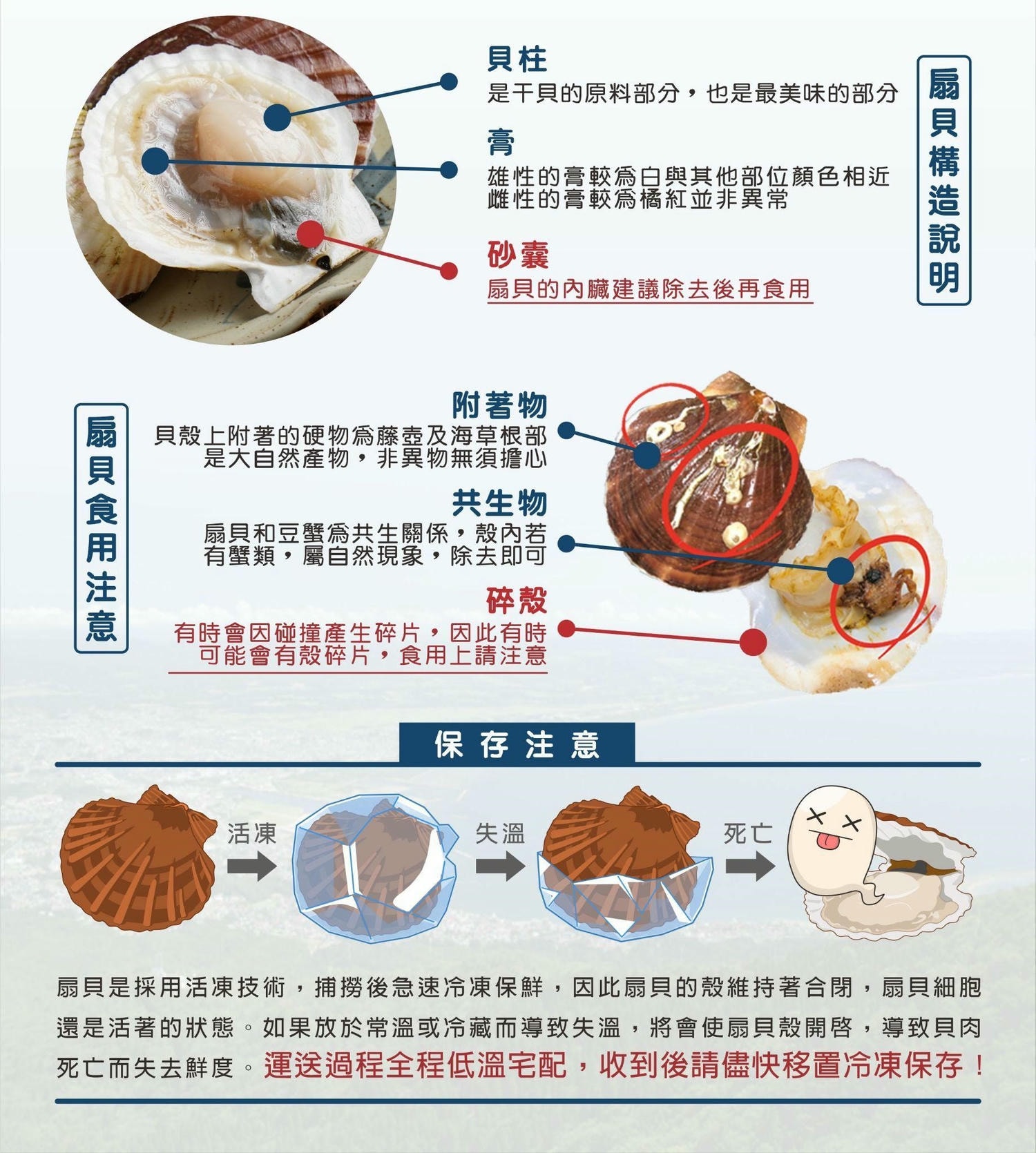 『魚有王』嚴選海鮮:高品質美味輕鬆上桌,滿足全家味蕾!|魚有王 X 姐夫嚴選 - 第4張圖