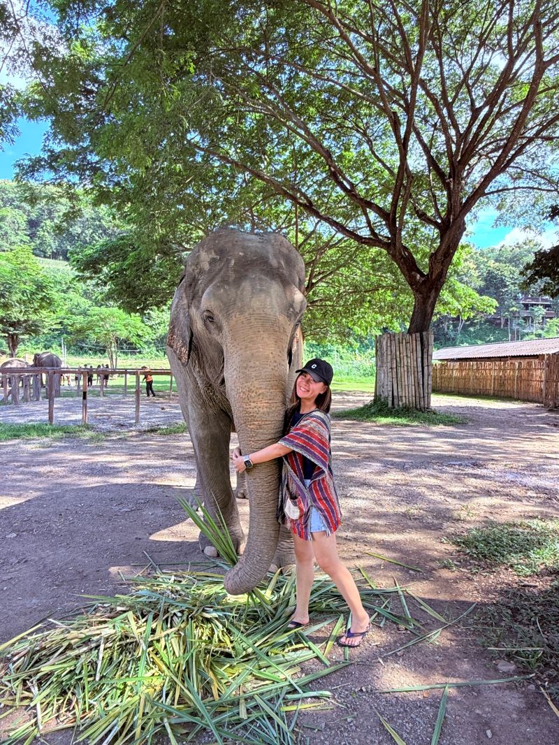泰國清邁Elephant Jungle Sanctuary大象體驗營|與大象零距離互動,探索大象庇護所 - 第15張圖
