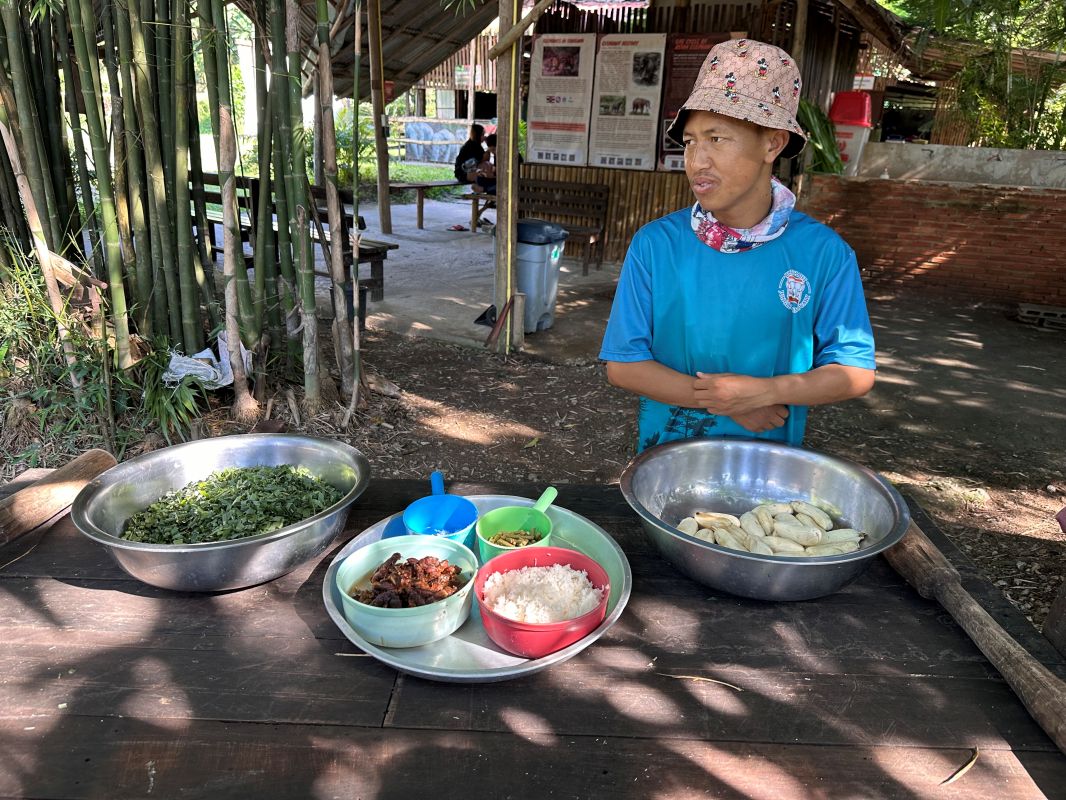 泰國清邁Elephant Jungle Sanctuary大象體驗營|與大象零距離互動,探索大象庇護所 - 第16張圖