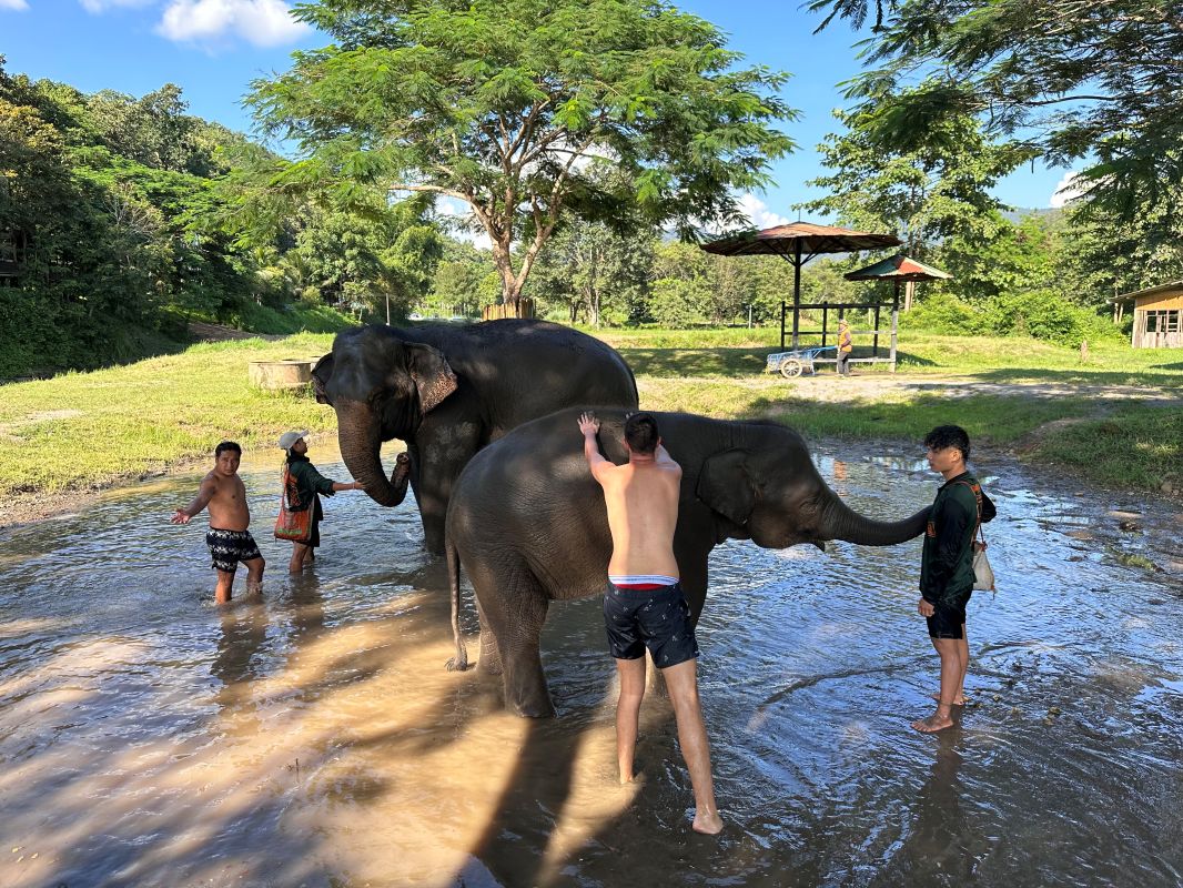泰國清邁Elephant Jungle Sanctuary大象體驗營|與大象零距離互動,探索大象庇護所 - 第23張圖