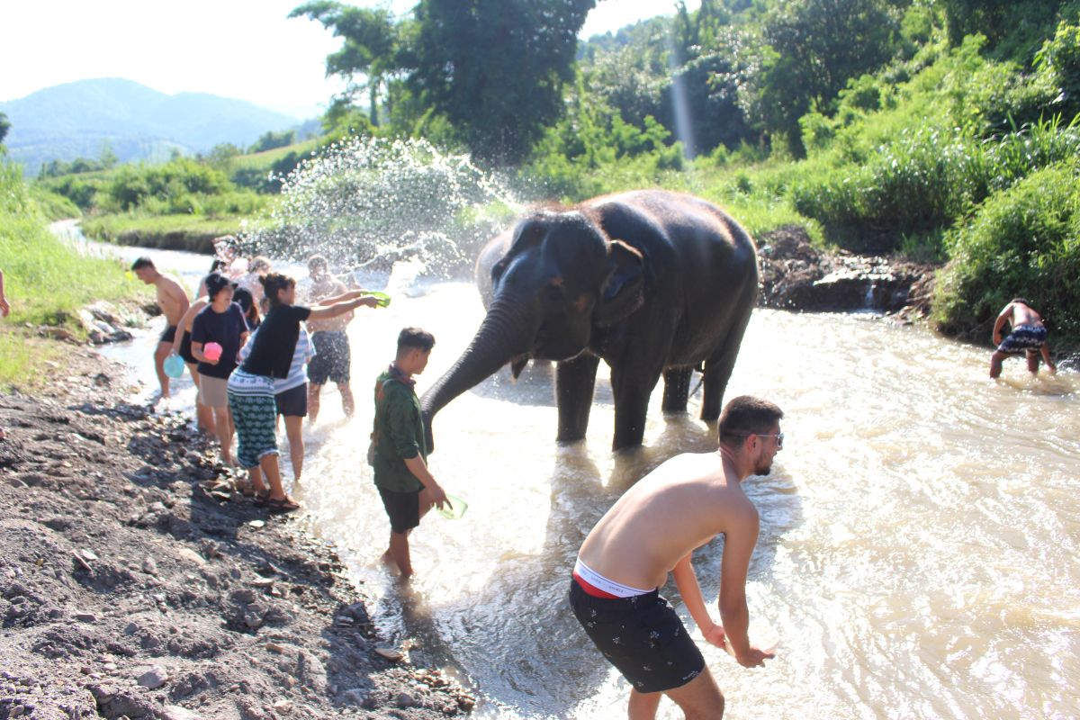 泰國清邁Elephant Jungle Sanctuary大象體驗營|與大象零距離互動,探索大象庇護所 - 第22張圖
