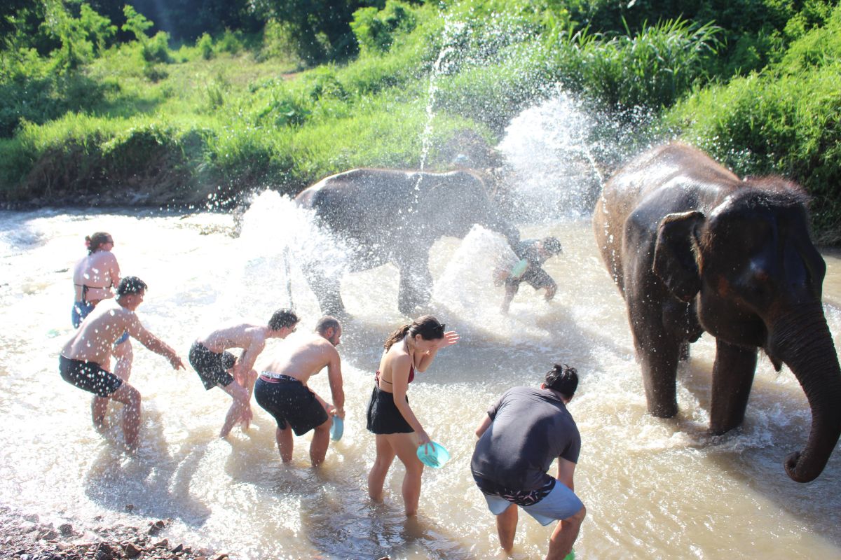 泰國清邁Elephant Jungle Sanctuary大象體驗營|與大象零距離互動,探索大象庇護所 - 第21張圖 跳進河裡幫牠們清洗