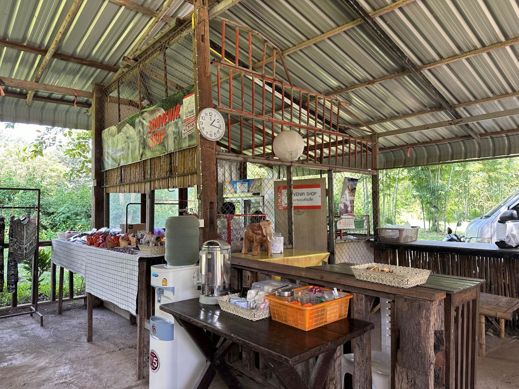 泰國清邁Elephant Jungle Sanctuary大象體驗營|與大象零距離互動,探索大象庇護所 - 第8張圖