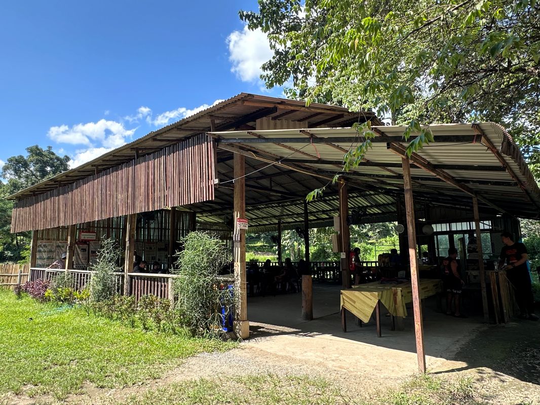 泰國清邁Elephant Jungle Sanctuary大象體驗營|與大象零距離互動,探索大象庇護所 - 第5張圖