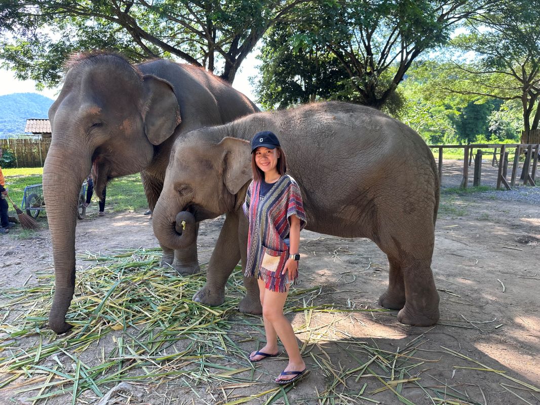 泰國清邁Elephant Jungle Sanctuary大象體驗營|與大象零距離互動,探索大象庇護所 - 第26張圖