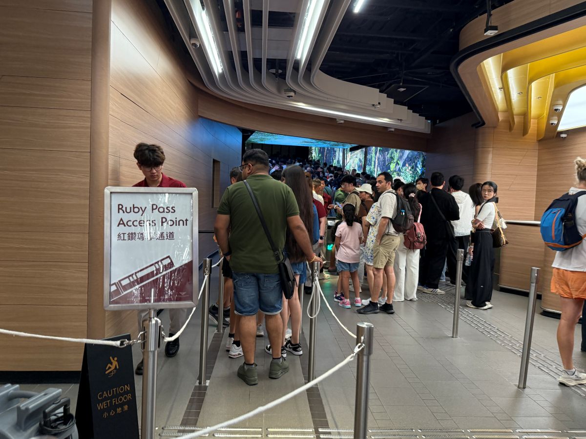 不請假衝香港2天1夜自由行|暴走吃喝行程:週五下班飛、週日回家睡,港式美食與景點攻略 - 第29張圖 紅鑽尊享通道