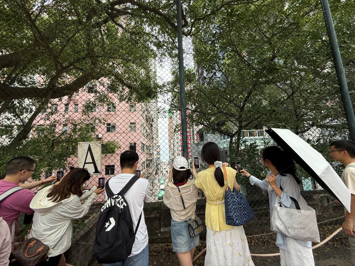不請假衝香港2天1夜自由行|暴走吃喝行程:週五下班飛、週日回家睡,港式美食與景點攻略 - 第60張圖